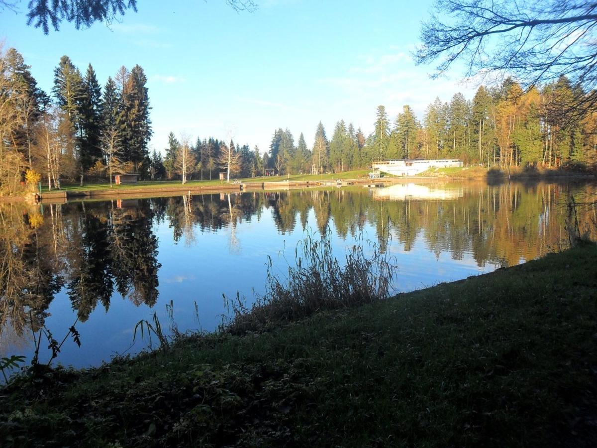 Apartmán Landhof Zitzler Opfenbach Exteriér fotografie